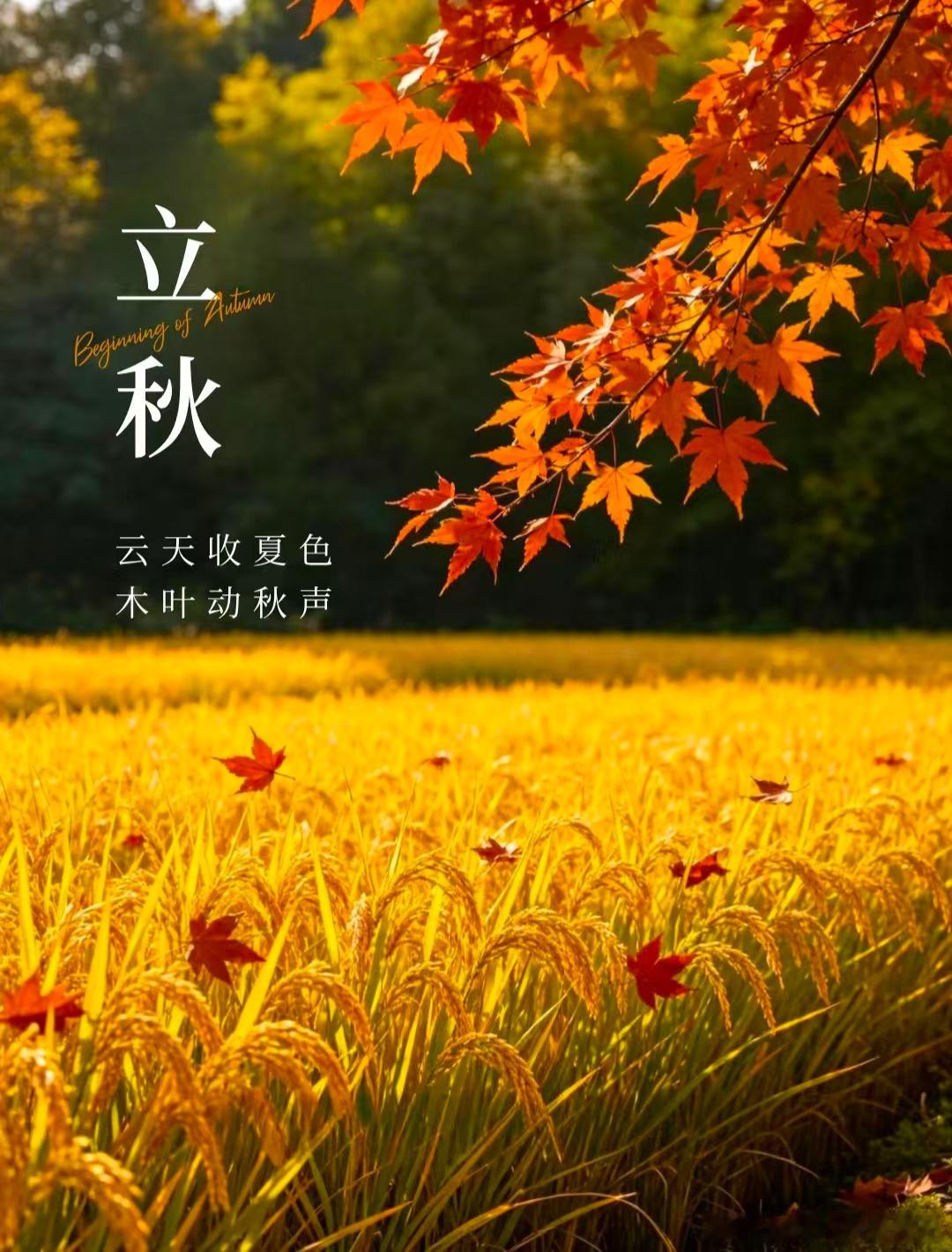 夏辞暮，秋初始，风染秋色，万物渐熟，一半回望，一半期许。愿这个秋天，收获温柔与惊