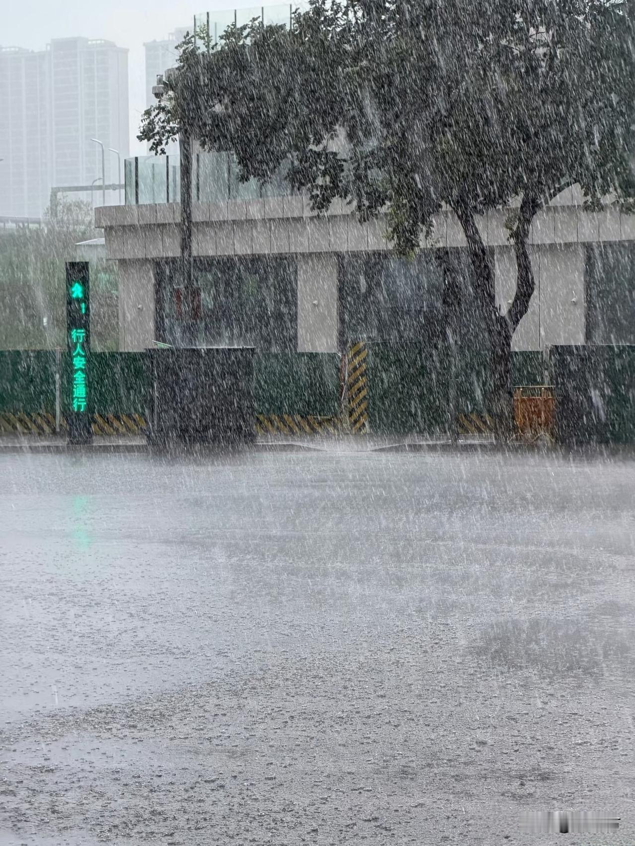 一到下班点就开始下暴雨，
均匀淋湿每个人。
这雨比依萍找她爸要钱那天的雨还大。