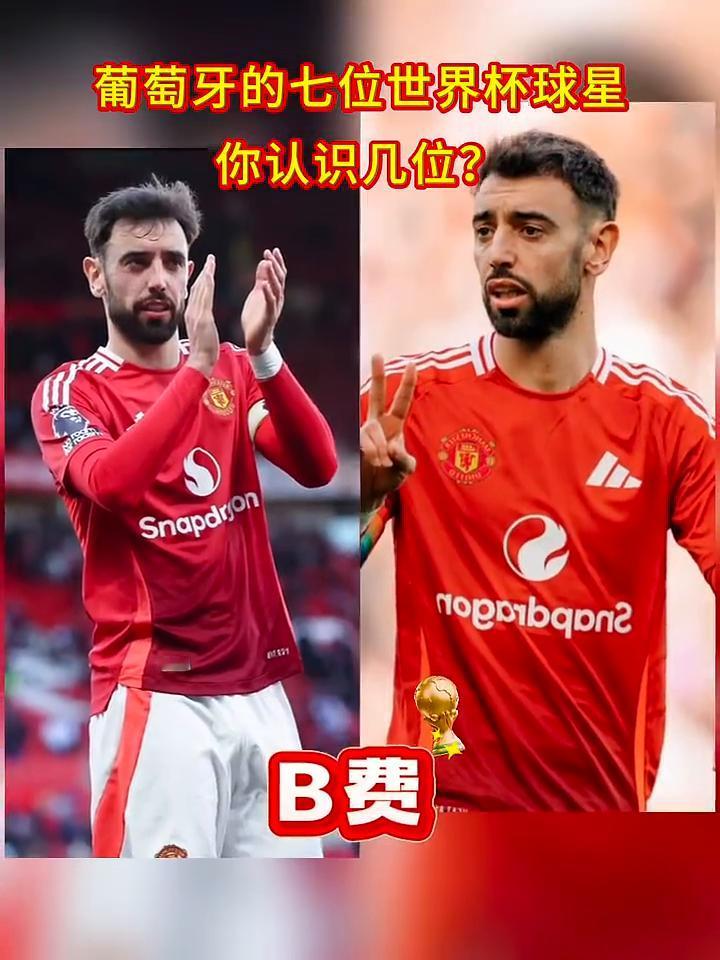葡萄牙的七位世界杯球星你认识几位？
菲戈、尤西比奥、C罗、B费、莱奥、鲁本·迪亚