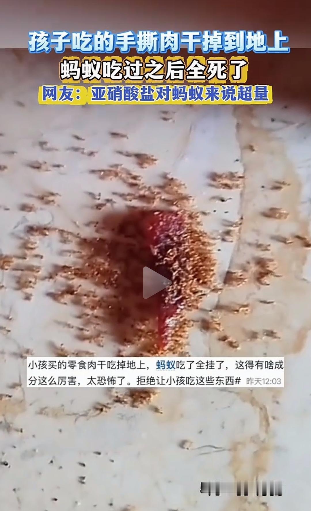太吓人！海南，一宝妈带孩子出门玩耍，手撕了一块肉干给孩子吃。肉渣掉在地上，很快引