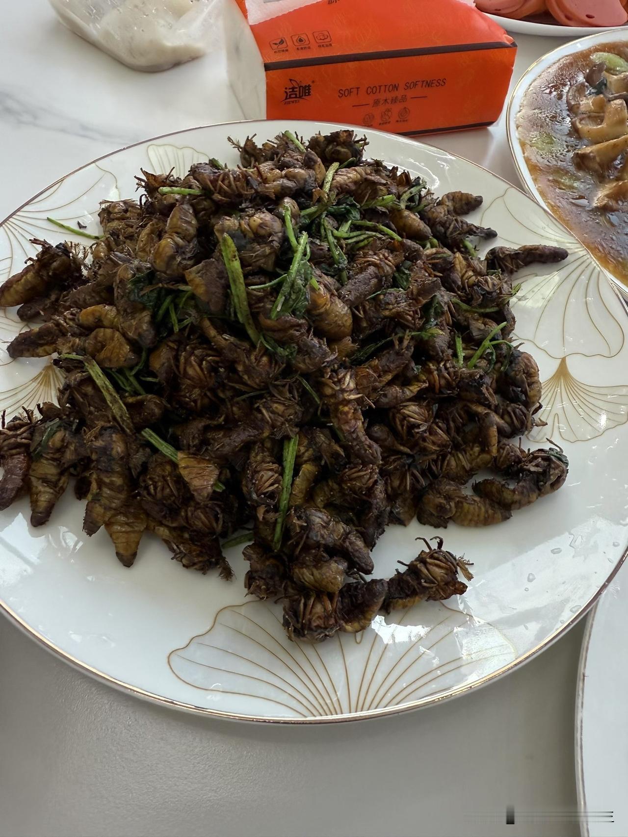 1. 香煎/干炸金蝉（第三张图，完整知了猴）

食材

金蝉（也叫知了猴、爬叉，