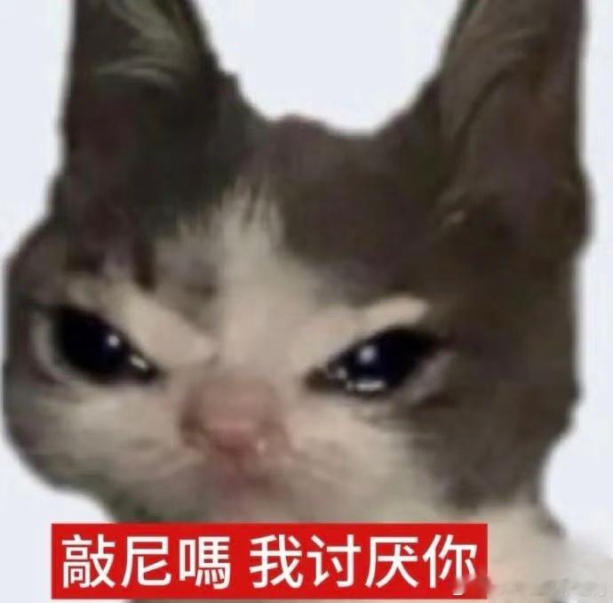 讨厌！ ​​​