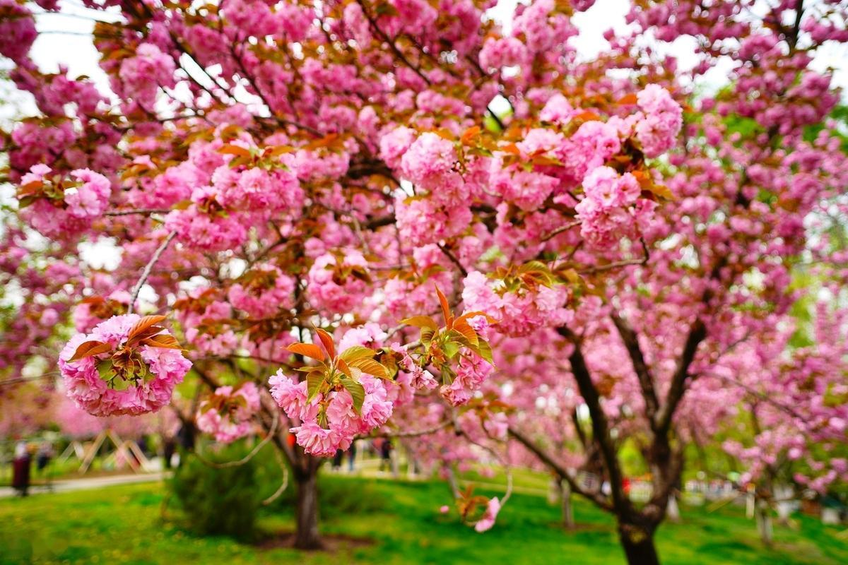 不管昨天发生了什么，不管昨天的自己有多难堪，有多无奈，有多苦涩，都过去了，不会再