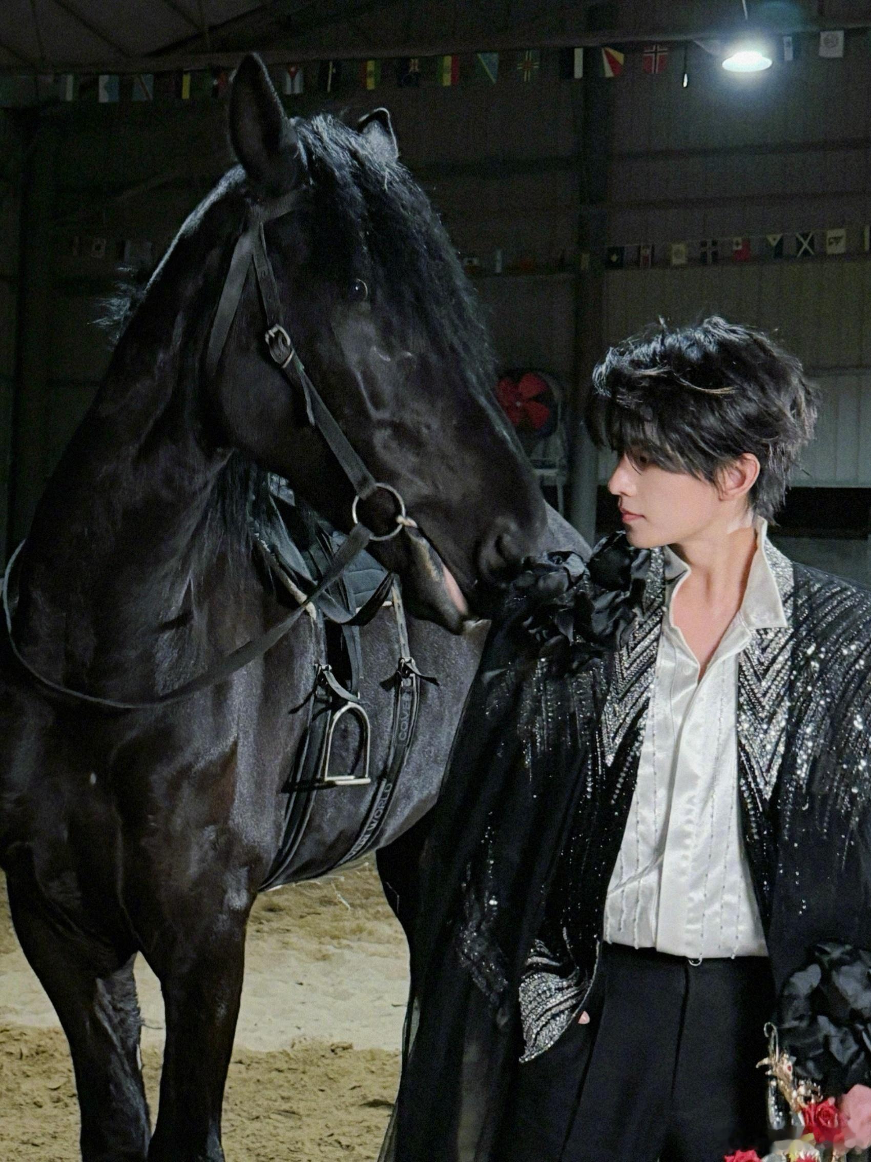 杨洋也玩上SBTI了杨洋发黑马骑士照冲金V 杨洋也太有趣了 微博掉成了橙v，为了