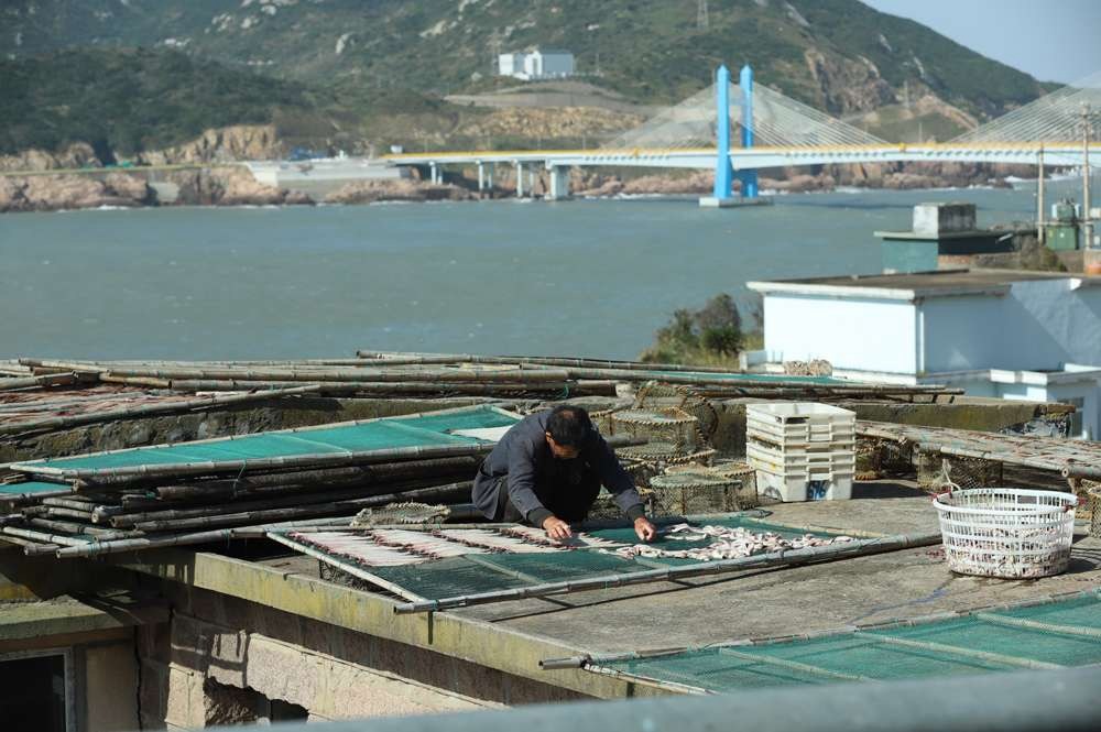 嵊泗海岛晒鱼鲞晒出乡村共富好光景海风送咸香，渔鲞晒丰收！十月舟山嵊泗嵊山岛，渔家