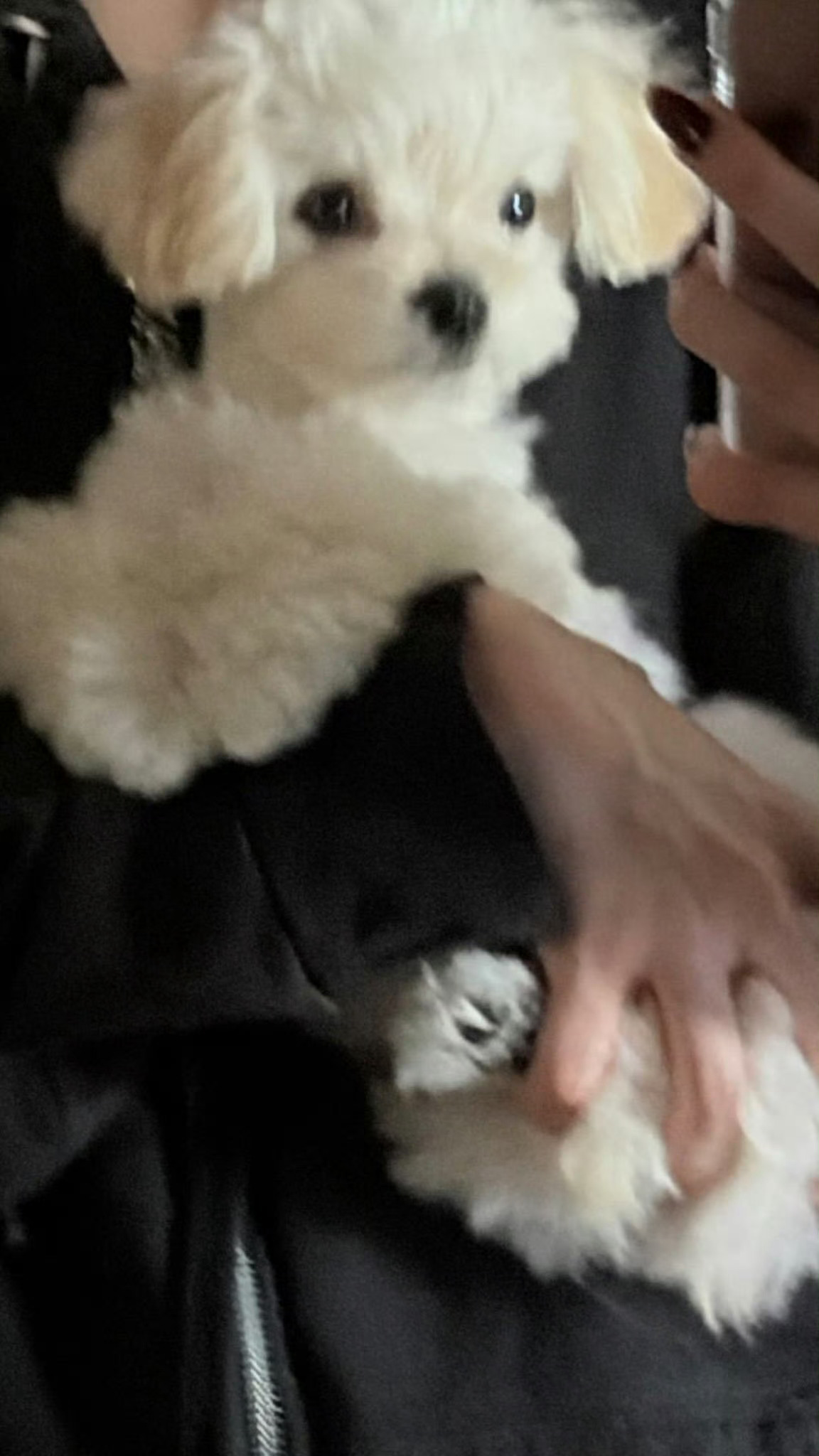 wc，这个手啥意思，感觉非常猛[流鼻血] ​​​
