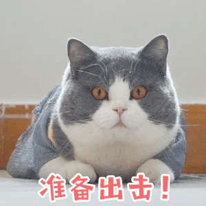 18:22大麦记得准点北京场抢票啊 