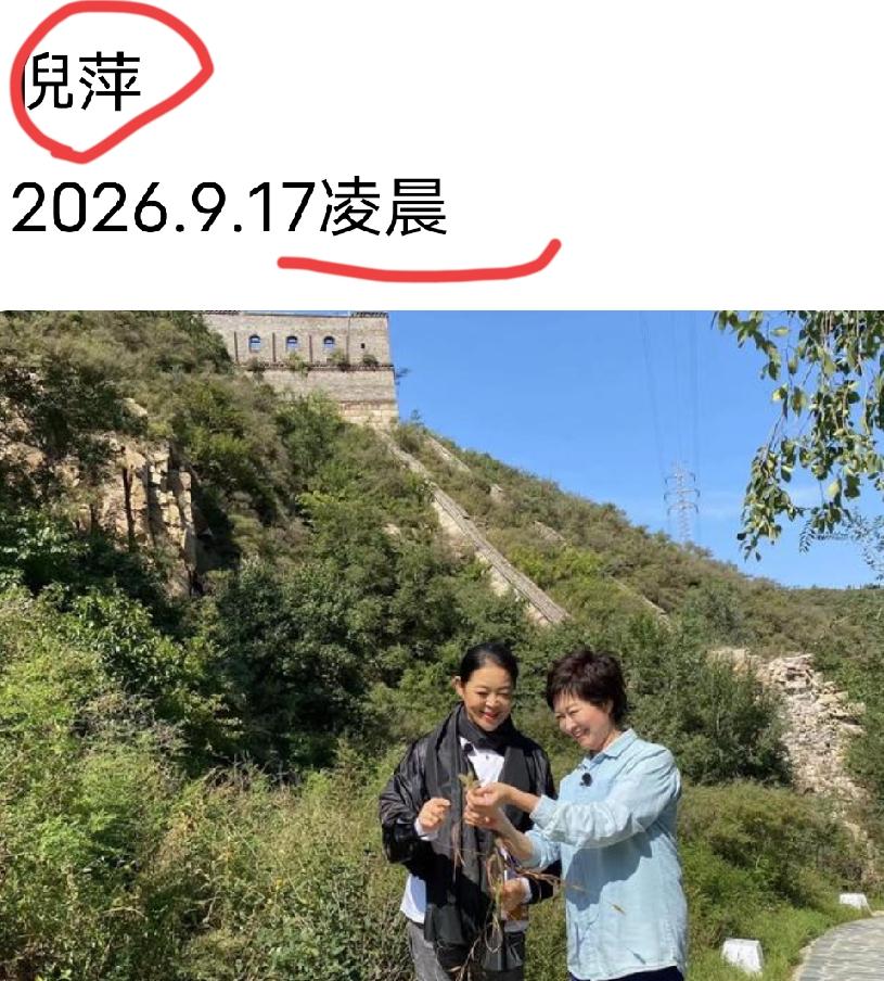 敬一丹的追悼会，
最难过和感到遗憾的应该不是亲人好友，也不是搭挡同事，而是倪萍吧