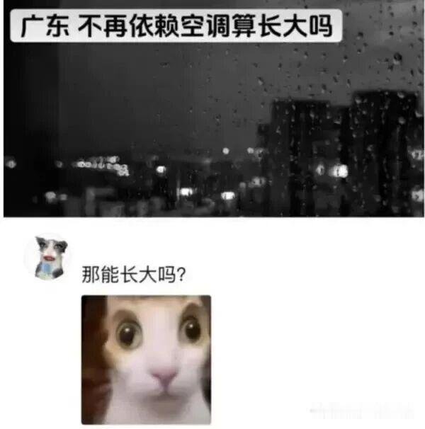 别说广东了，我在江苏离了空调都受不了！ 