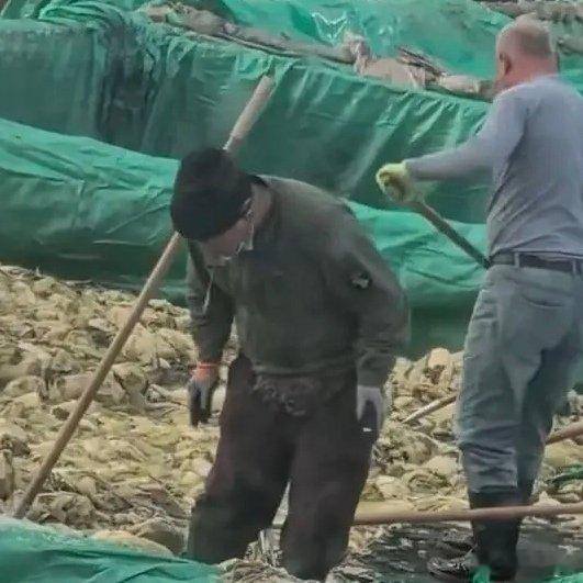 市监局确认酸菜生产乱象属实上一次在热搜上看见酸菜还是3.15晚会的“足味酸菜”，