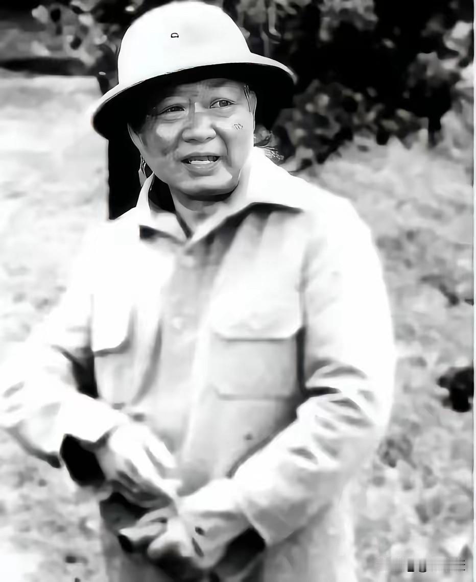 1964年美斯乐惊魂：段希文假意缴械诱敌深入，两百悍匪惨败收场
 
1964年，