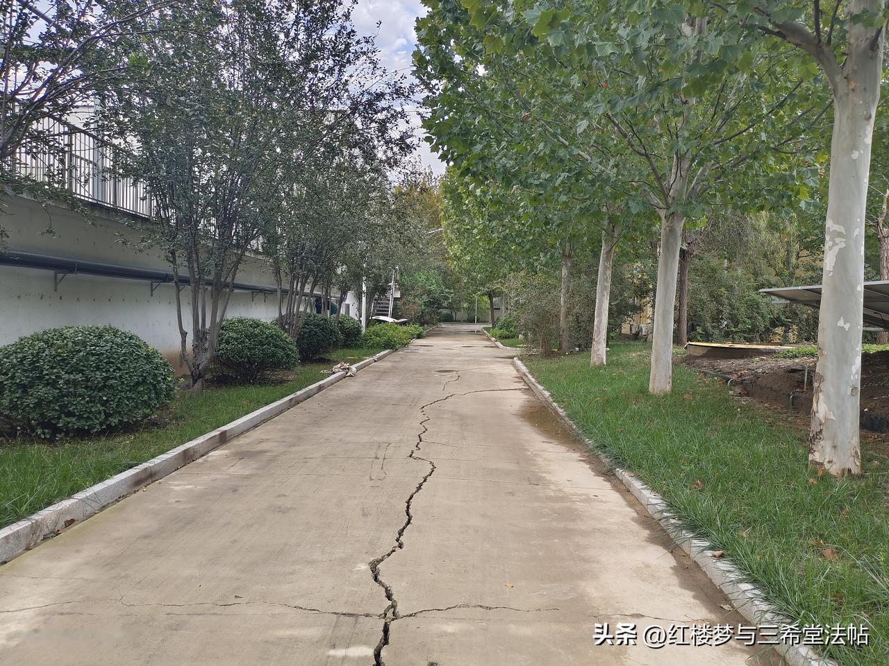 留秋住

芳园正趁寻秋步，西风又报秋将暮；
海棠满地茉莉羞，飞鹊点落花前露。
留