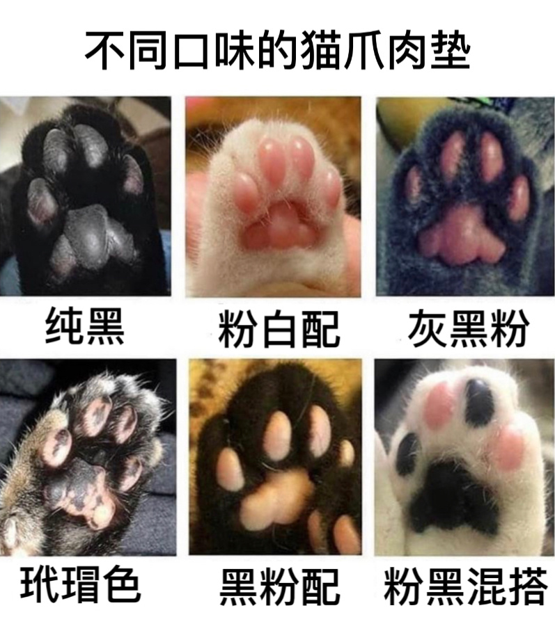 我尝尝#今日memes# ​​​