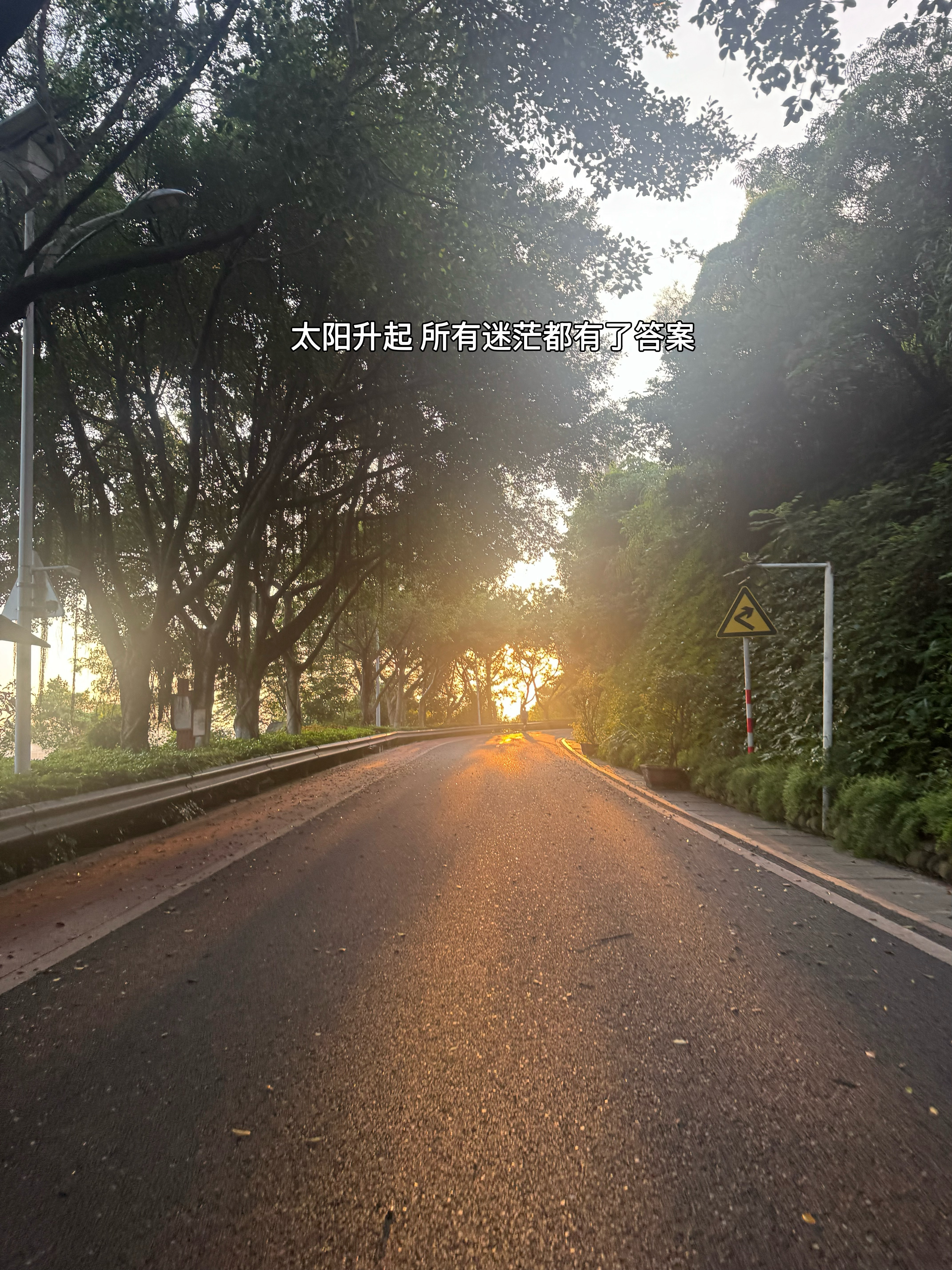 夏至 | 晨跑20公里✅失眠的夜，早起跑步。允许万物穿过，允许它来，允许它离开…
