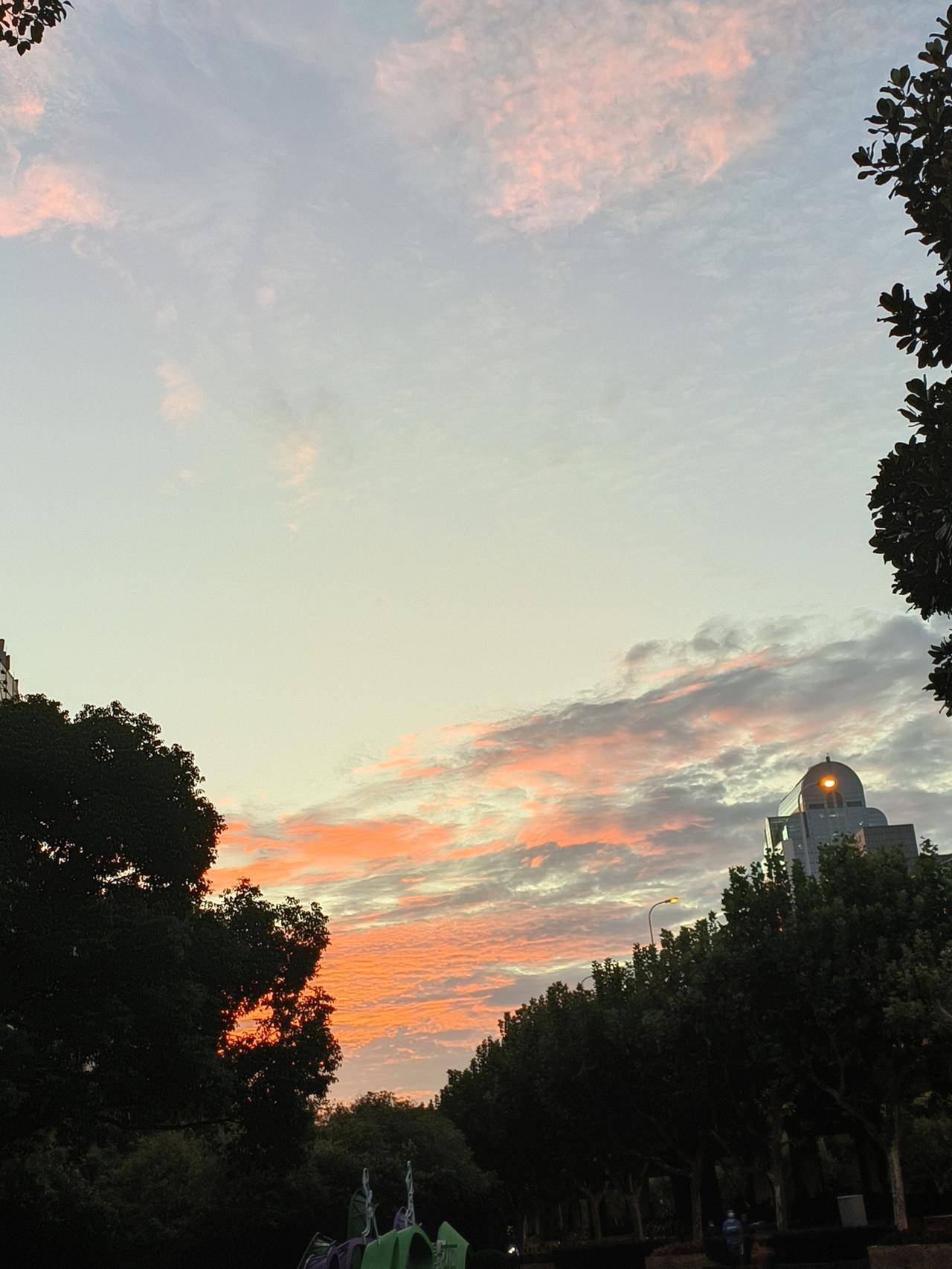 🌿人生啊哪有什么两全之策，短短百年不过是教人取舍罢了，手持烟火以谋生，且听且忘