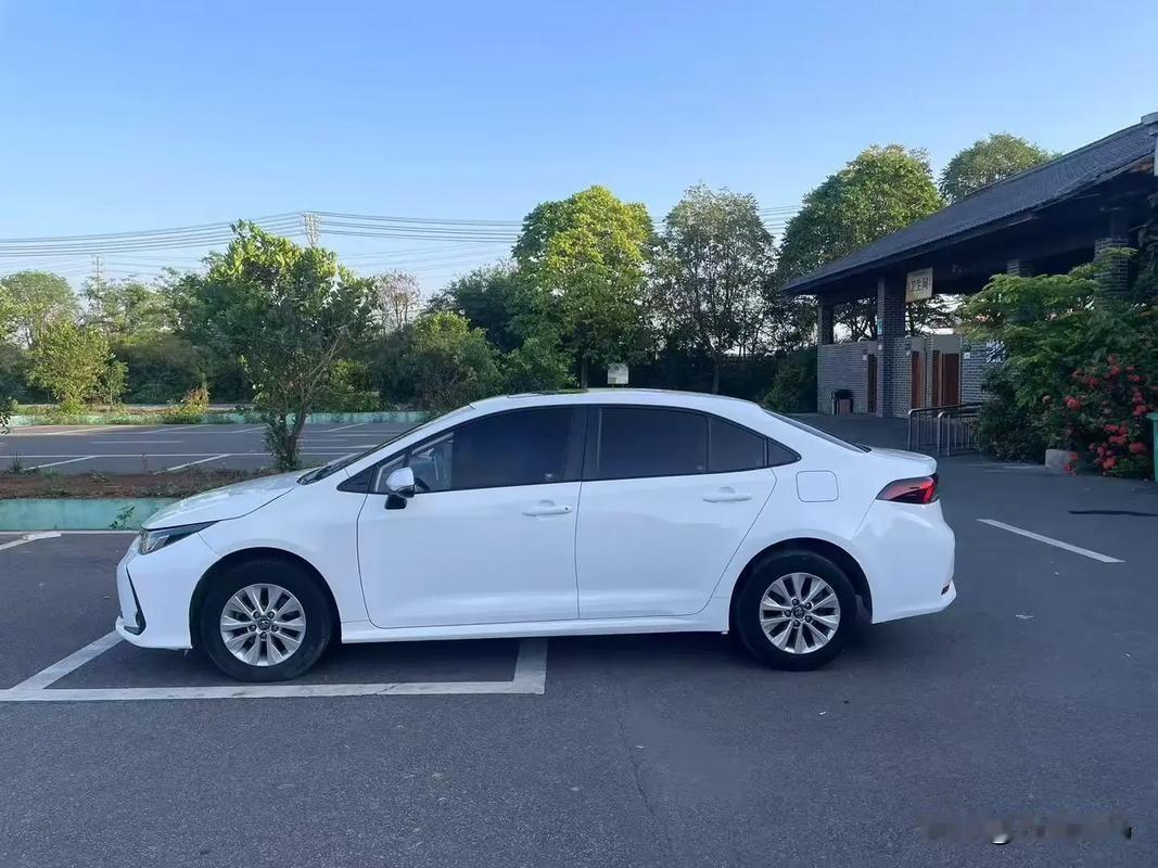 老陈的卡罗拉双擎，是家里最靠谱的“沉默搭子”，不张扬却处处贴心，藏着数不尽的温暖