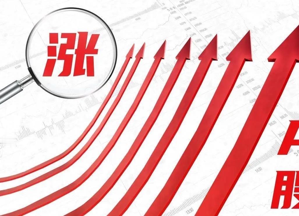 本周领涨板块及龙头股！一、电机：本周涨幅13.16%领涨个股：兆威机电、华阳智能