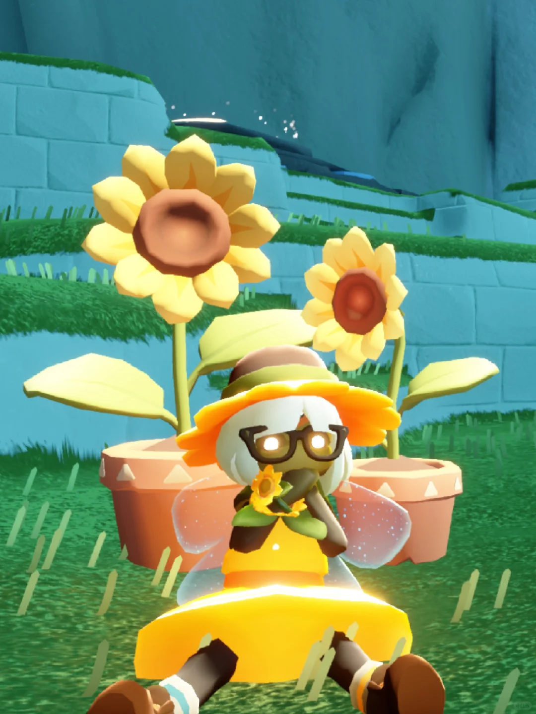 有友节蹲蹲好友向日葵呵护！