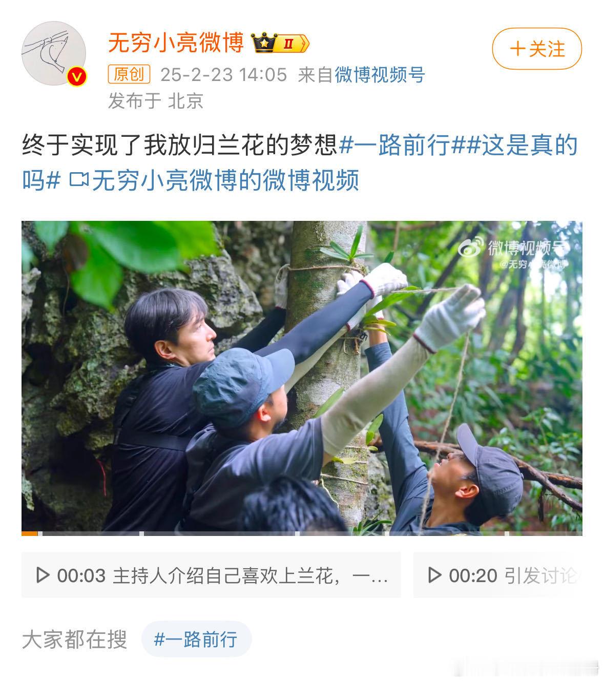 小亮终于实现了放归兰花的梦想  放归兰花是 一直以来的梦想，如今在版纳植物园成功