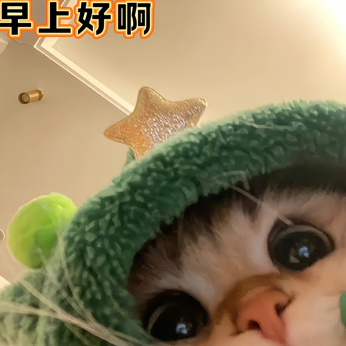 早上好吖！ 又是期待满满的一天呢！凌晨，周边城市地震了。震感强烈可把小管吓坏了！