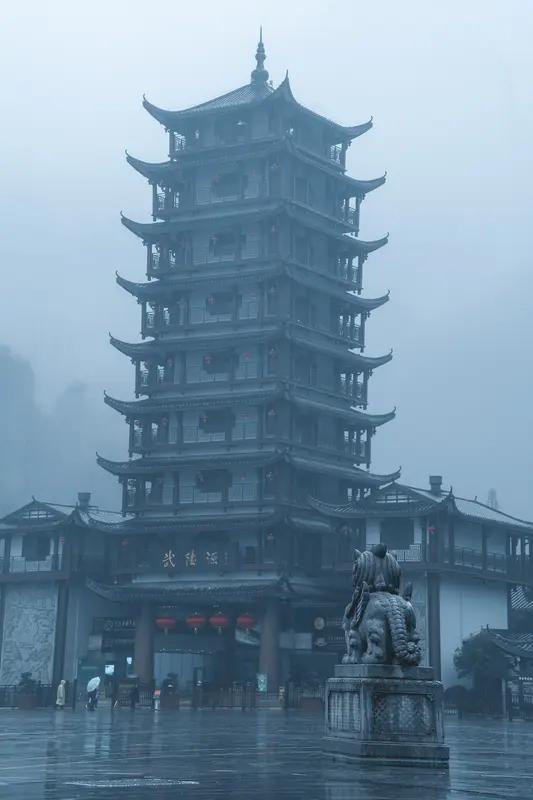 2026年的第一场雪，有些地方已经纷纷扬扬地下起来啦！1月19日，受冷空气影响，