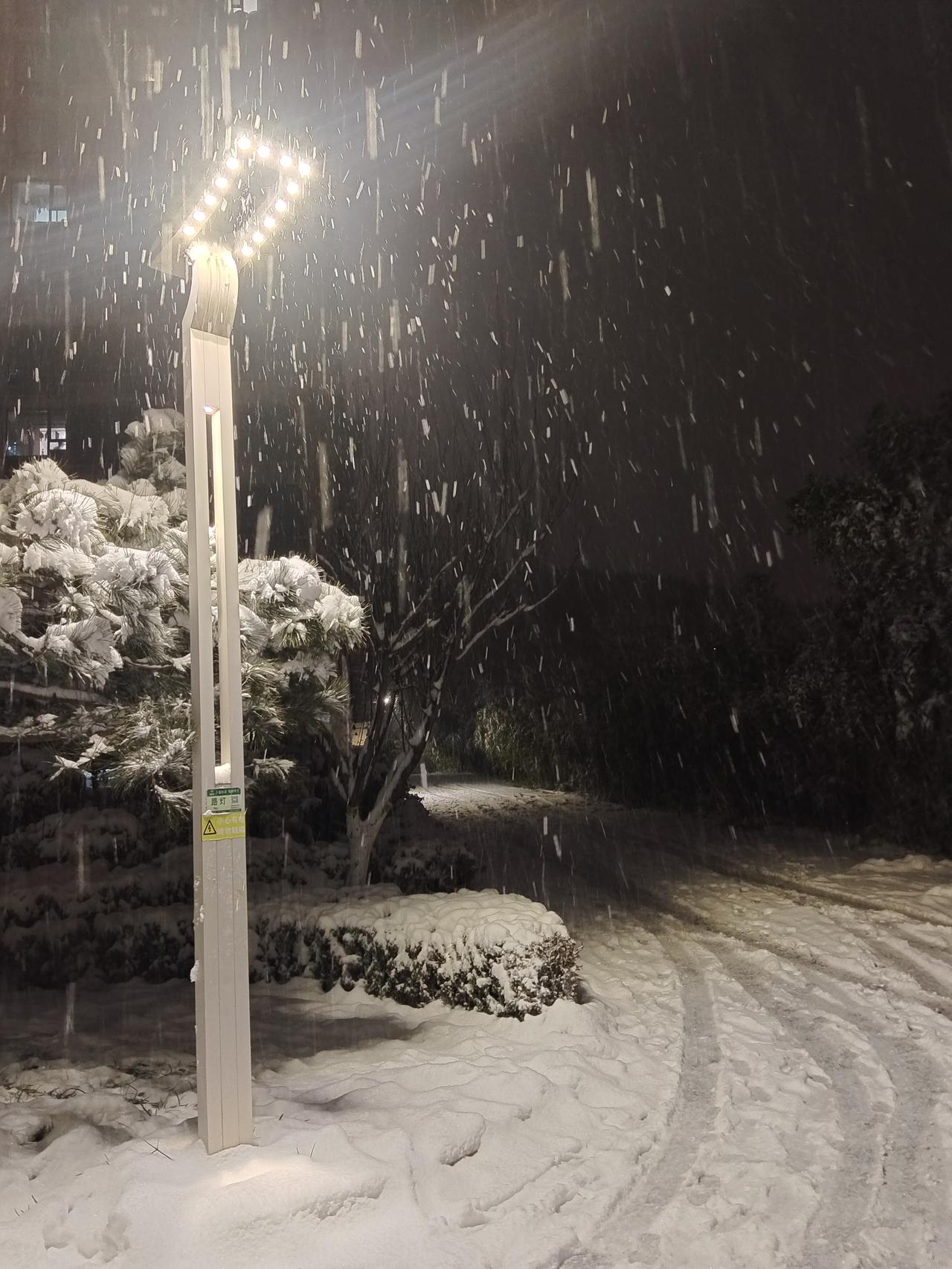 2025年的第一场雪，雪来的有点大些