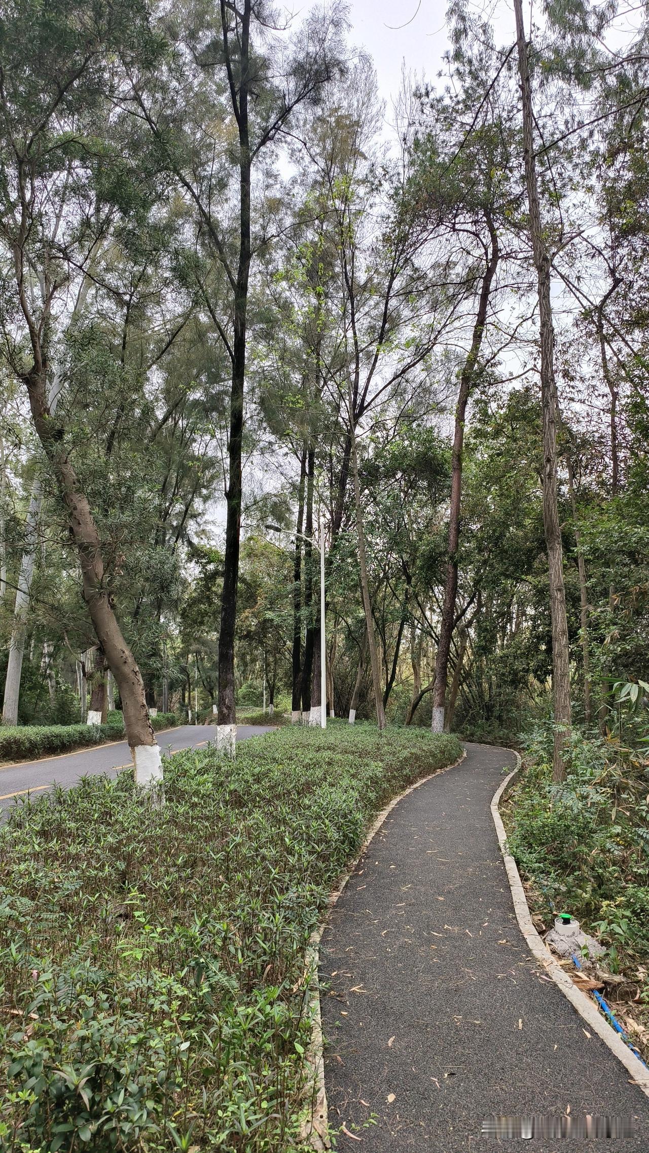 高考填报志愿“冲，保，稳”，哪种情况要把保放在首位？
家长和考生填报志愿，最纠结