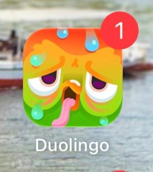 “多邻国”和“拼多多”这两，天然就能蹭到iPhone Duo折叠屏的热度[皱眉]