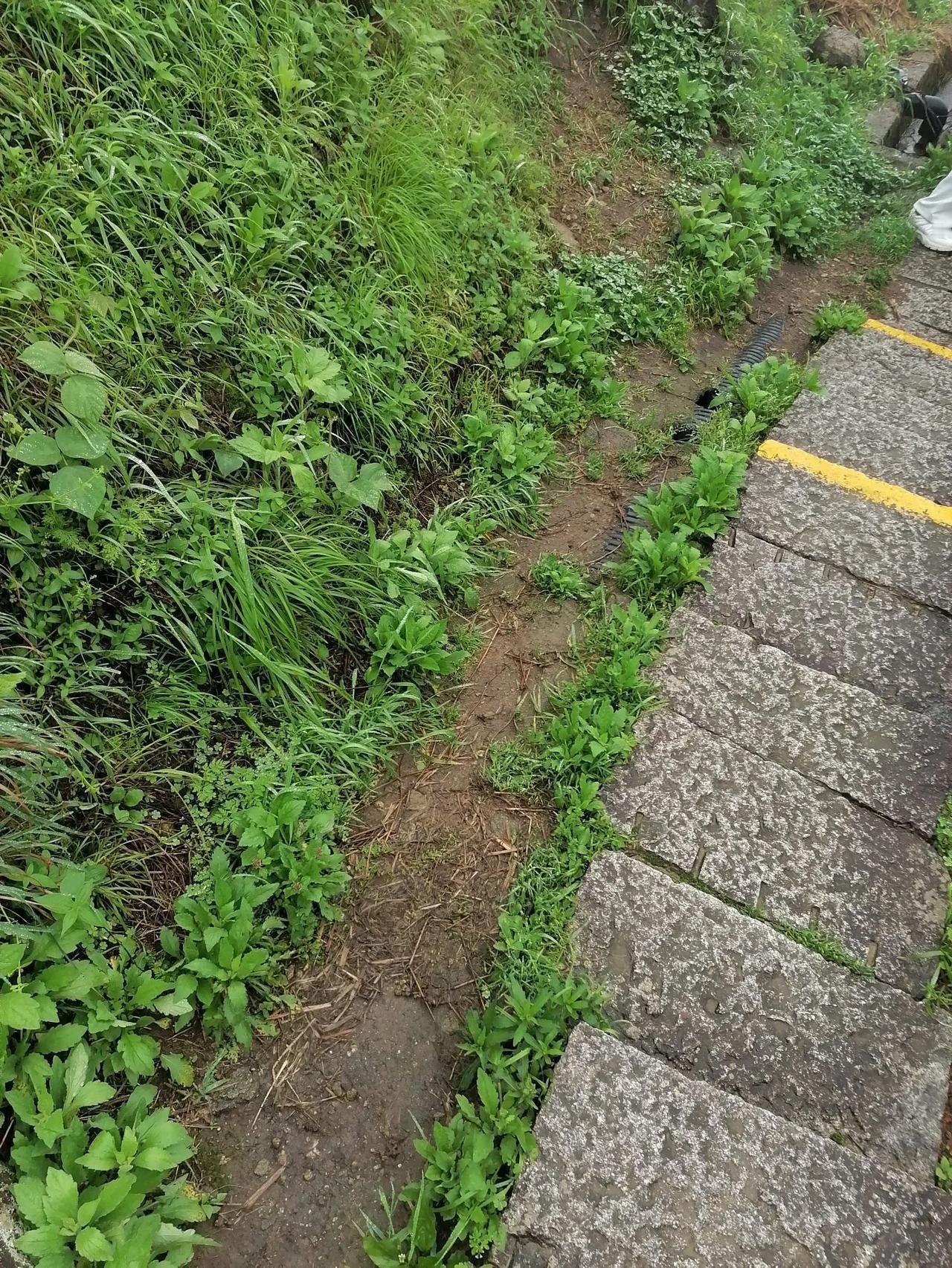 朋友孩子32了，不结婚，朋友两口子急得不得了。不结就不结吧，可他还说一些气人的话