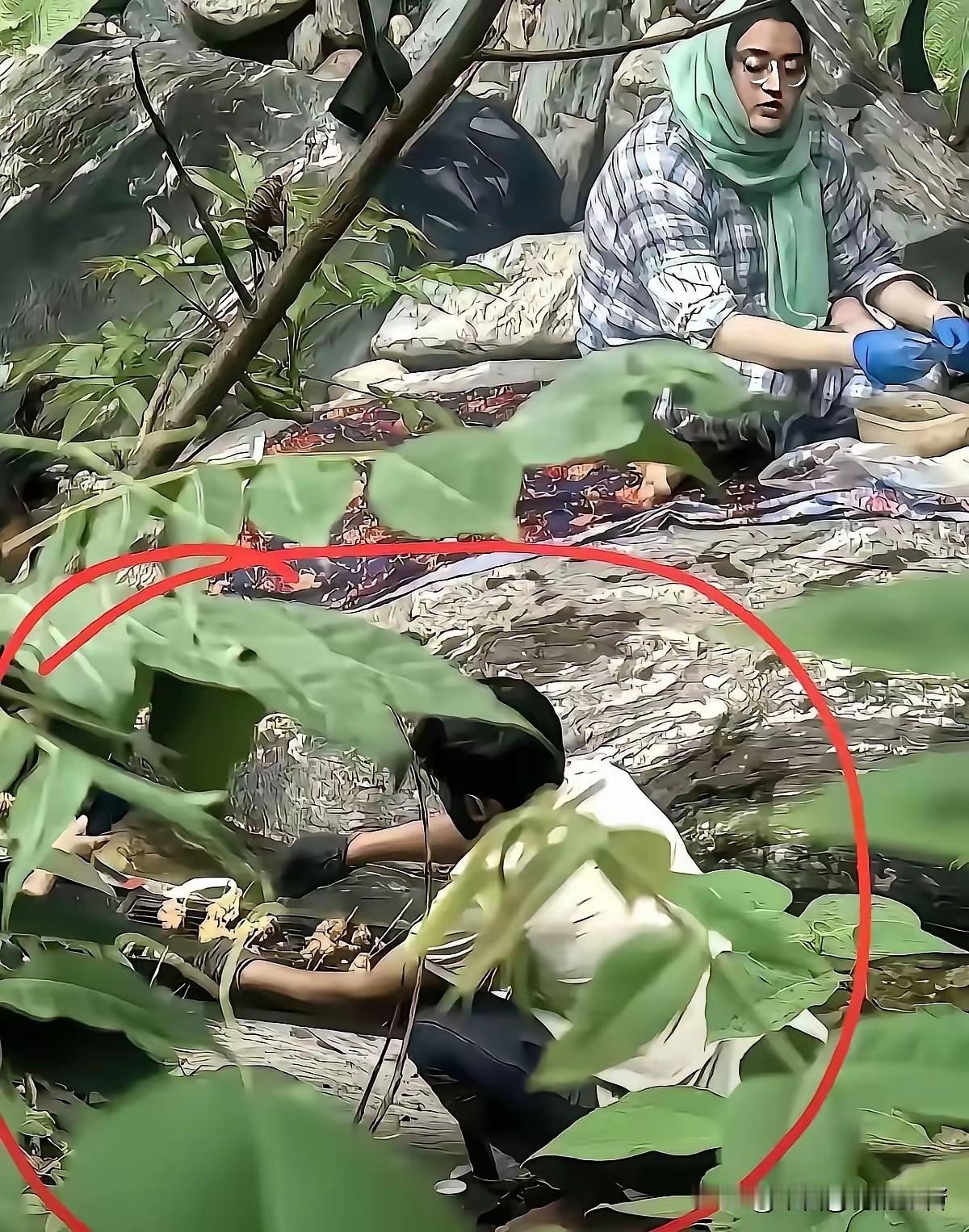 秦岭那事还没完呢。几个印度人在防火区烧烤，被抓了现行，说是传唤了，但最后罚多少钱