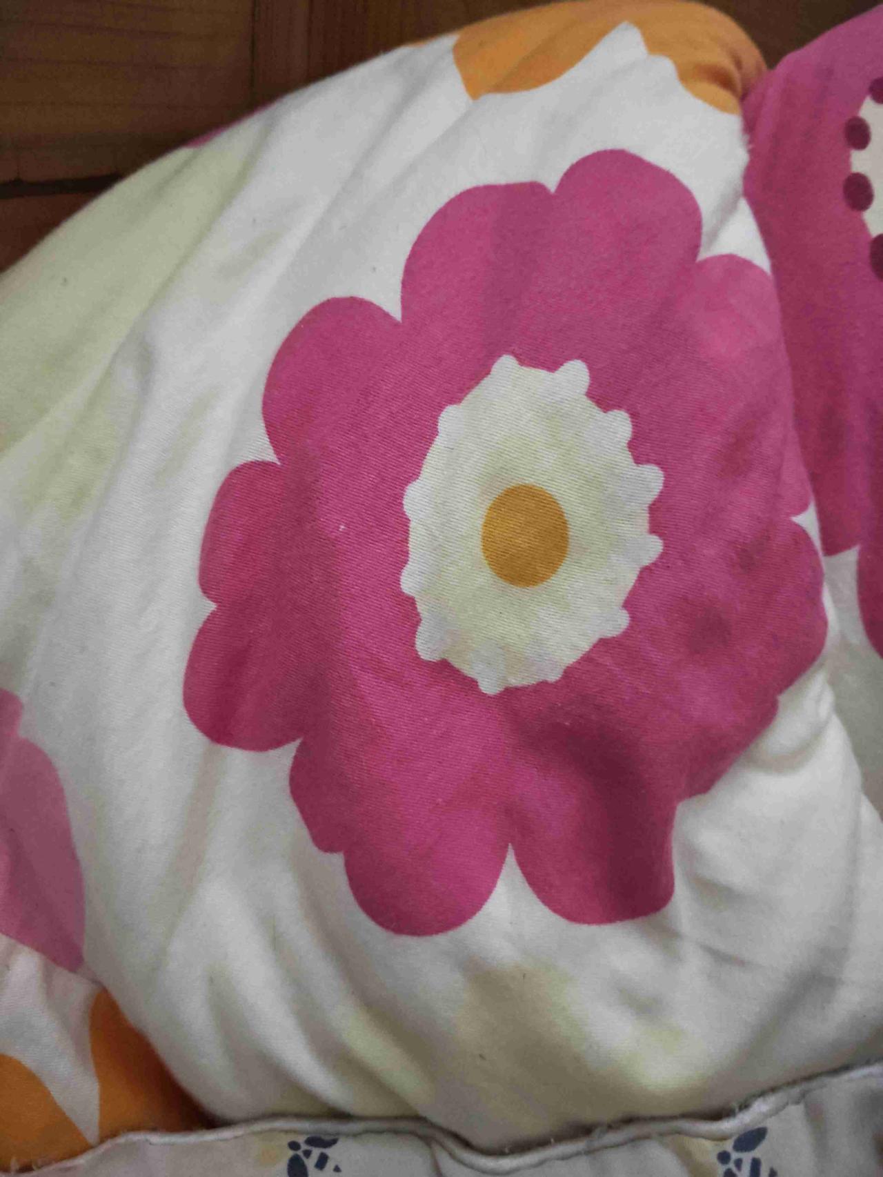 我的今日状态：😁轻松愉快
我这里的天气：☀️晴天