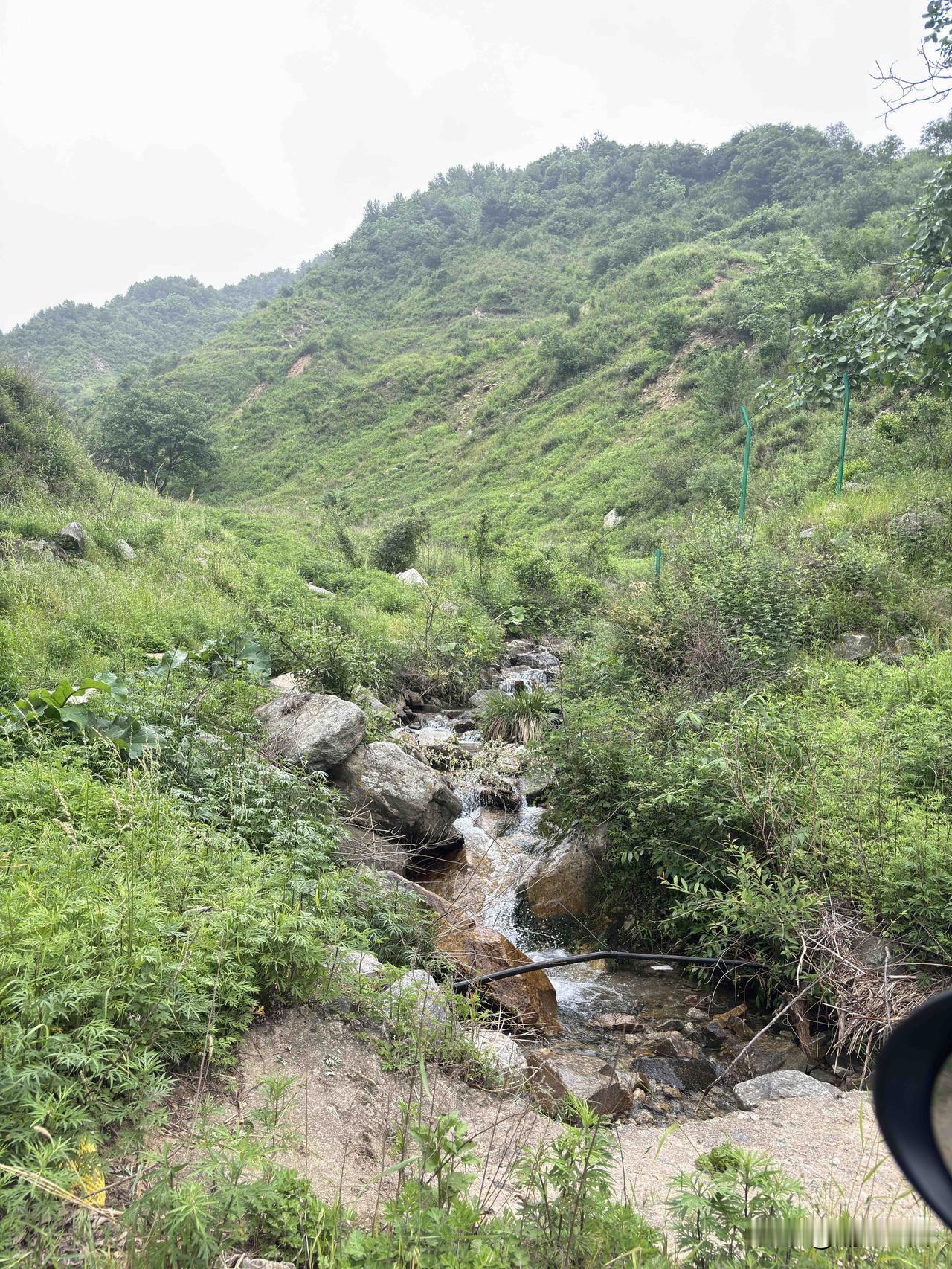 蓝田清峪的沟挺长的，两条沟我都走过，这个是从哪个桥进来的沟，不过桥直行的沟，许庙
