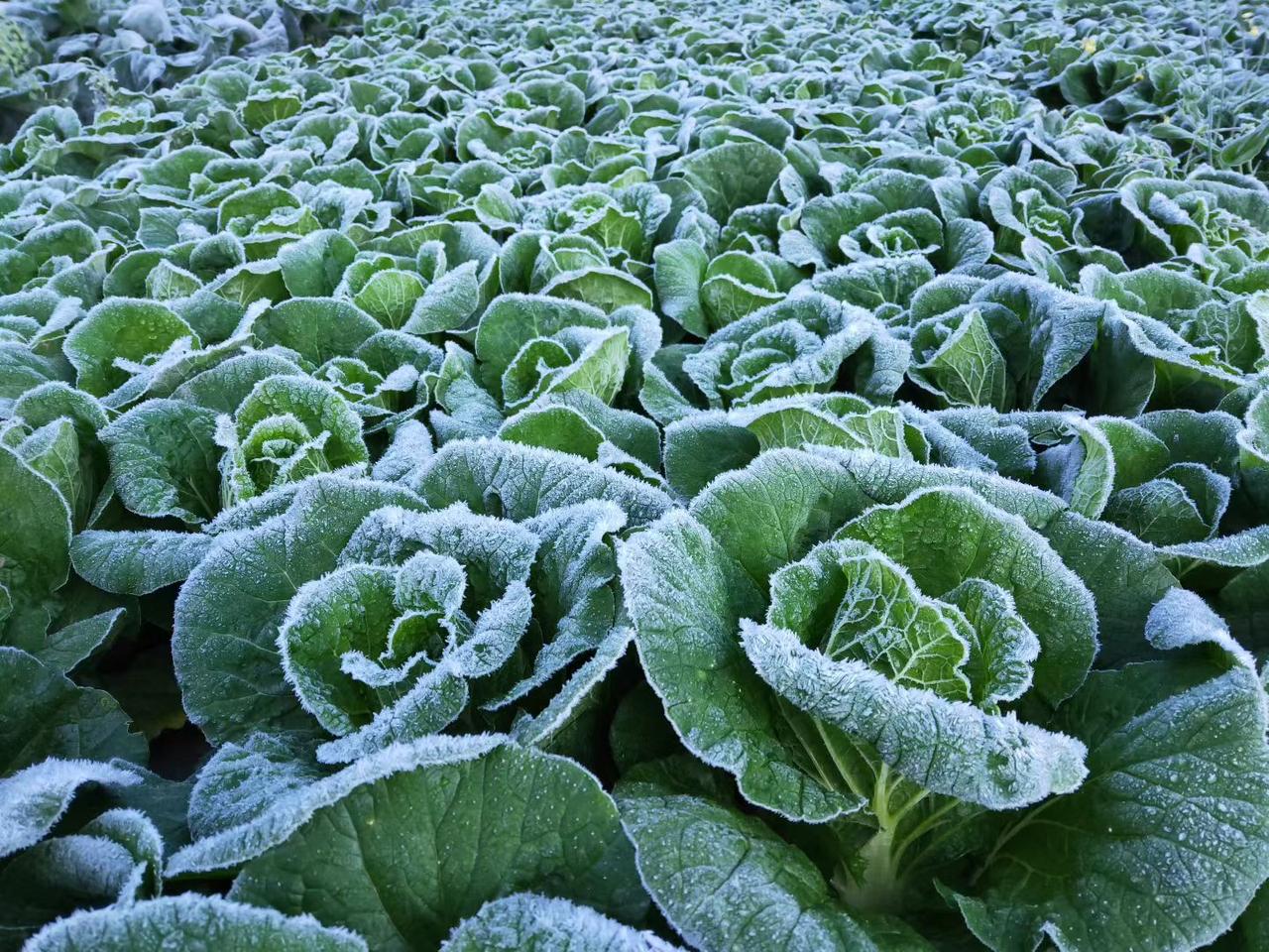 晒图笔记大赛冷冷～