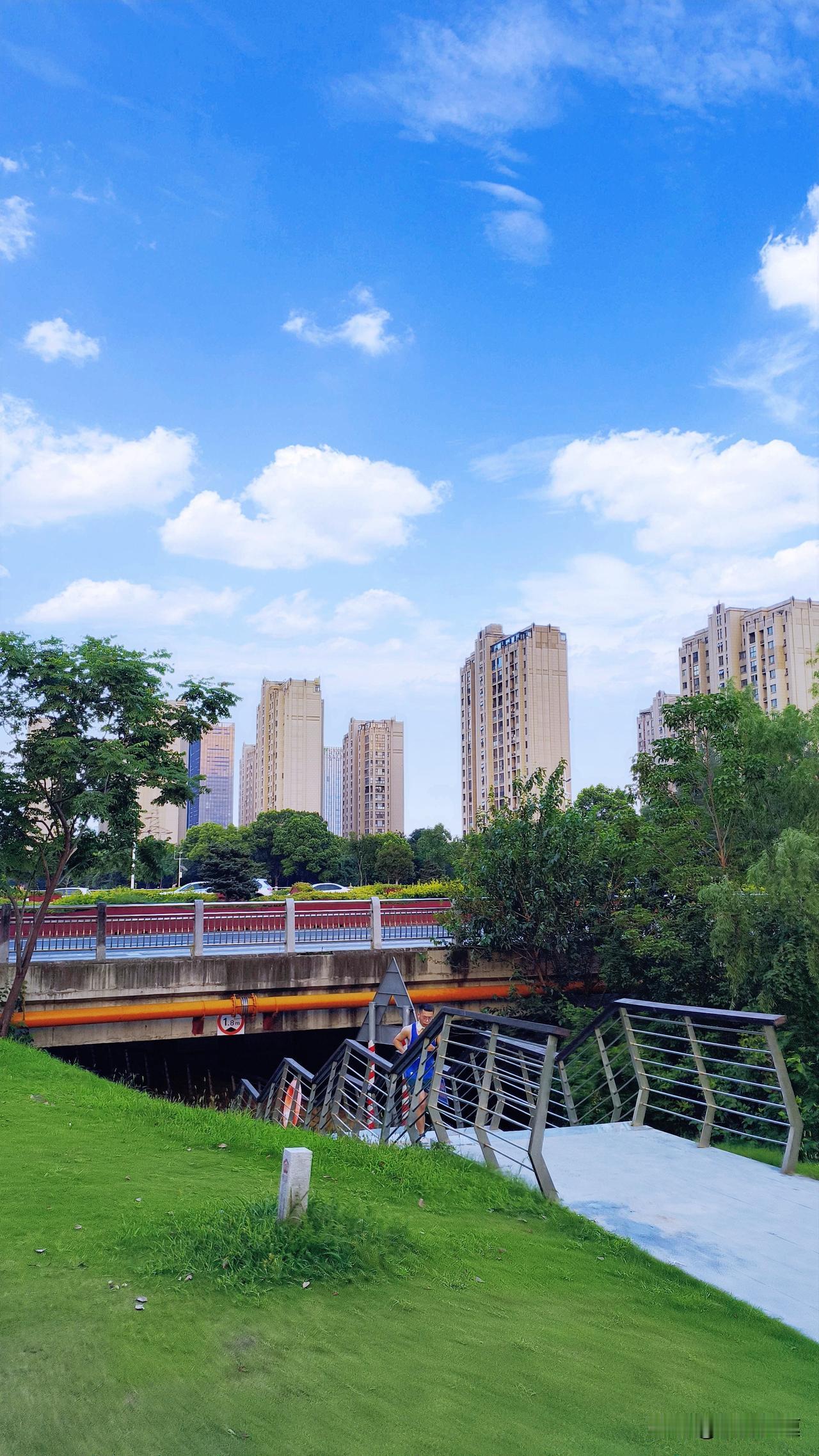 南京这天气真是绝了，今天气温才32度，可体感温度绝对不止35度，闷热得让人难受。