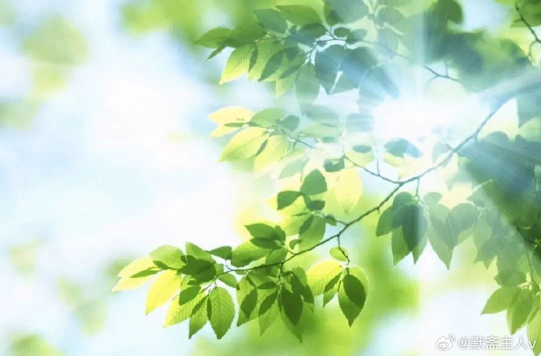 同行即是归途·默斋主人原创自由诗脚步交叠之处泥土便盘生出细密根须不必回头细数身后