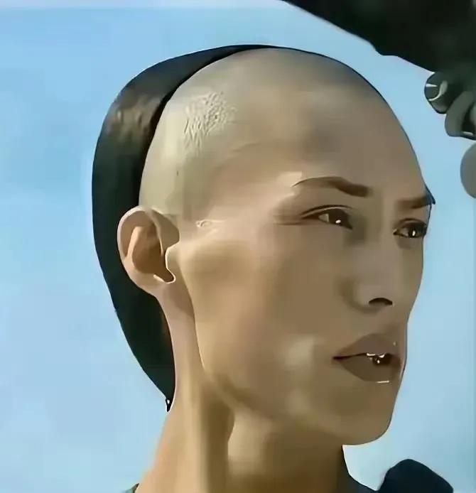 同一个靳东，不一个样子，靳东颜值进化告诉我们一个道理，不要相信人越老越帅，而是红