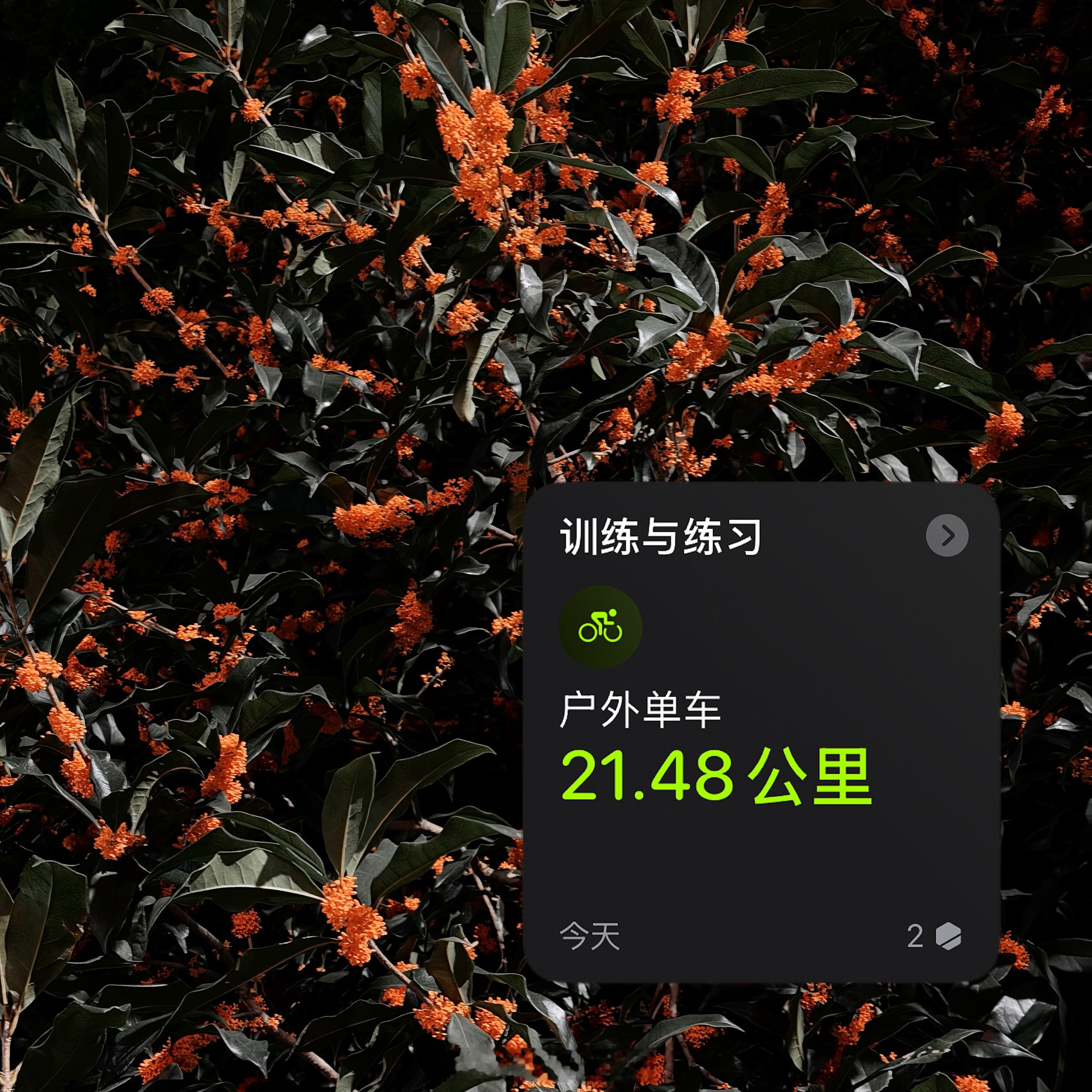 一路都是桂花香😋 ​​​