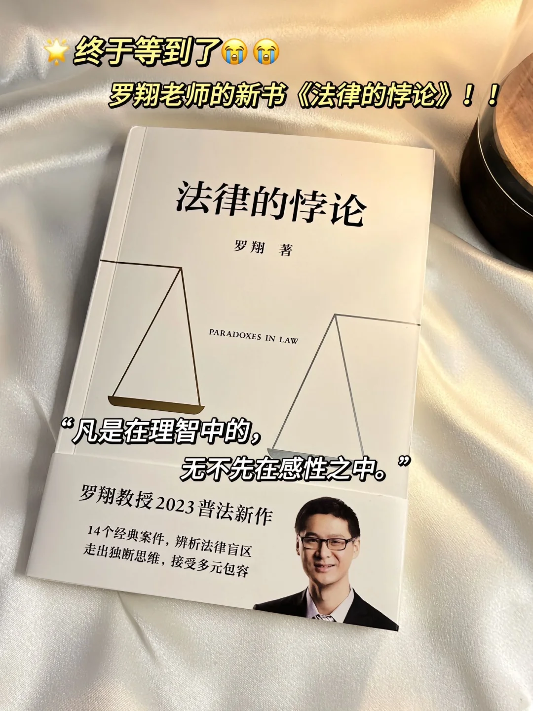 《法律的悖论》