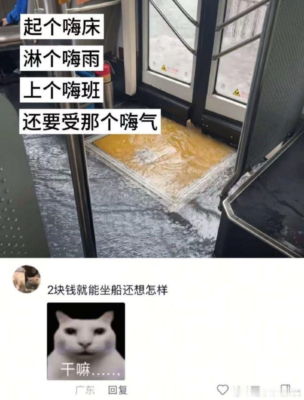 还有海景 