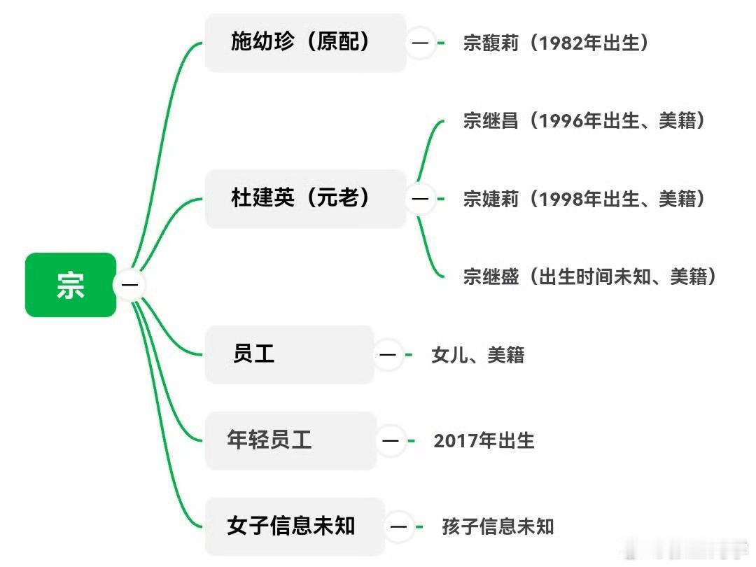 杭州就娃哈哈事件成立专班三名自称宗庆后非婚生子女的原告（宗继昌、宗婕莉、宗继盛，