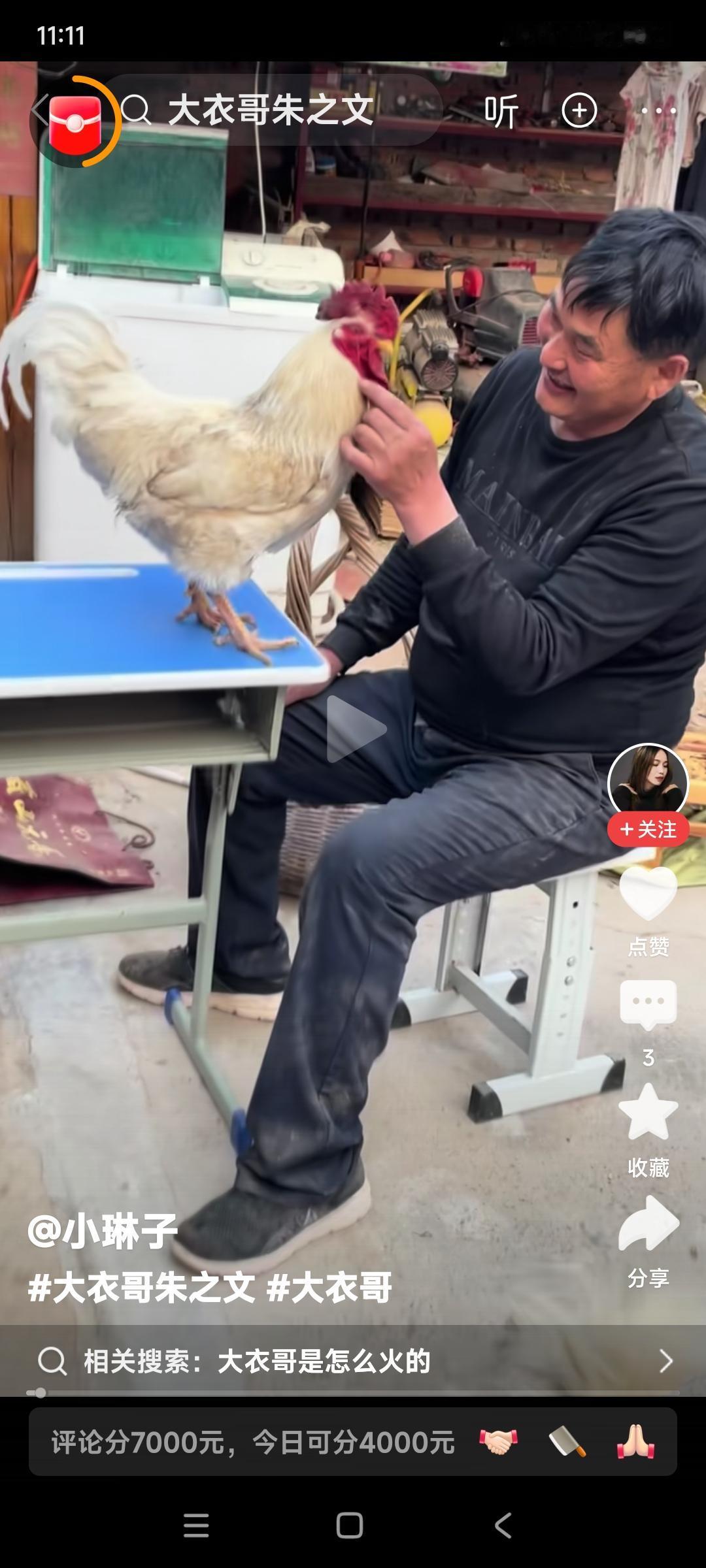 看看大衣哥朱之文休闲的状态。

家里养的大白公鸡抱到桌子上，朱之文挑逗大公鸡玩。