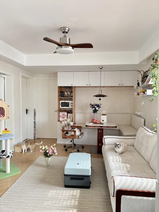 夏天会过去，但小猫会记得……