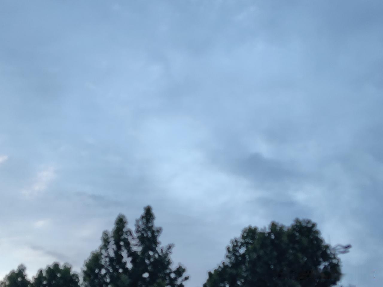 又是崭新的一天
一天好心情
管住嘴
是智者