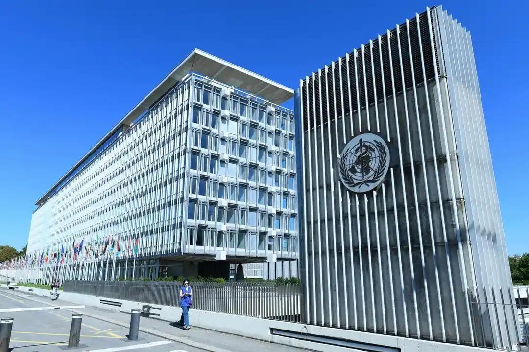 荷兰邮轮出事了！

5月4日，一则来自荷兰的海上突发消息引发全球关注，一艘悬挂荷