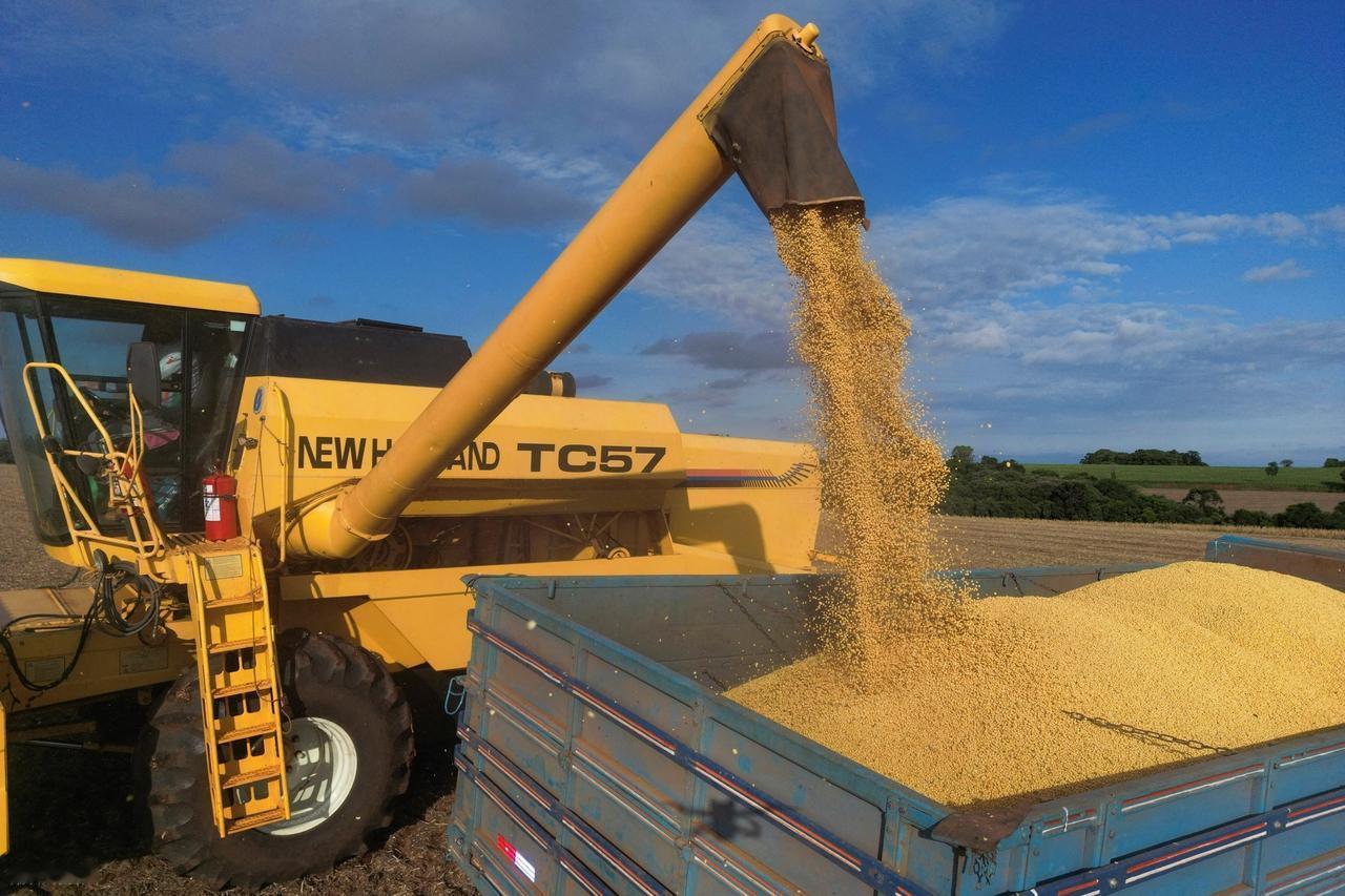 2025年末，中美大豆贸易重回正轨？

2025年尾声，中国买了美国大豆，八百万