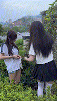 这是……袜子？