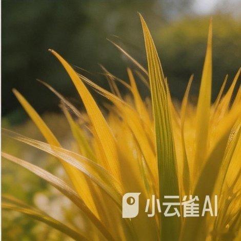 遇见艺术新城事花语早安6月6日  诞生花 信者之福金菖蒲，其寓意为“驱邪避害、长