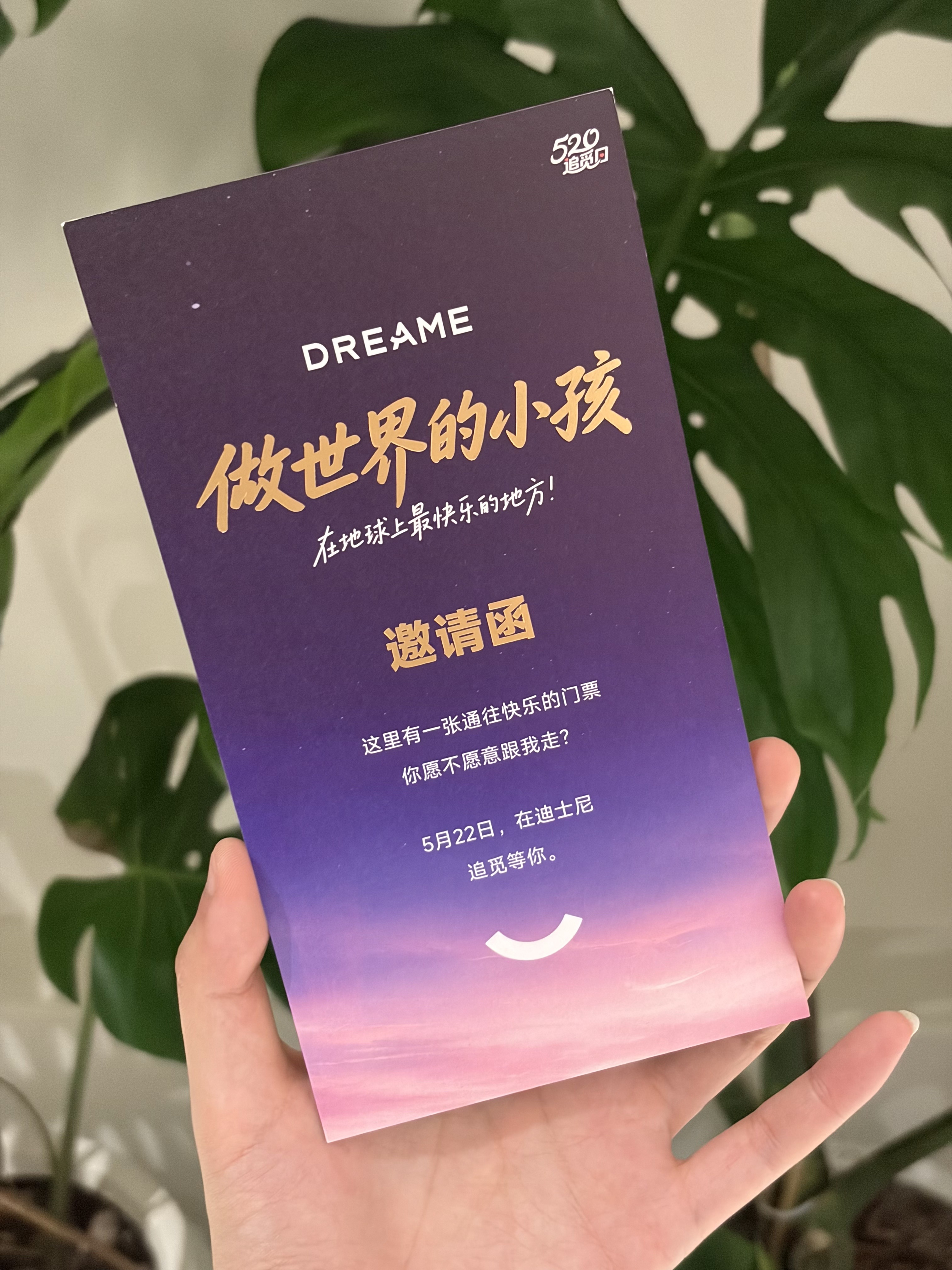 感谢追觅，一直嫌人多，还没去过迪士尼，一会儿去体验一下包场迪士尼的感觉。 