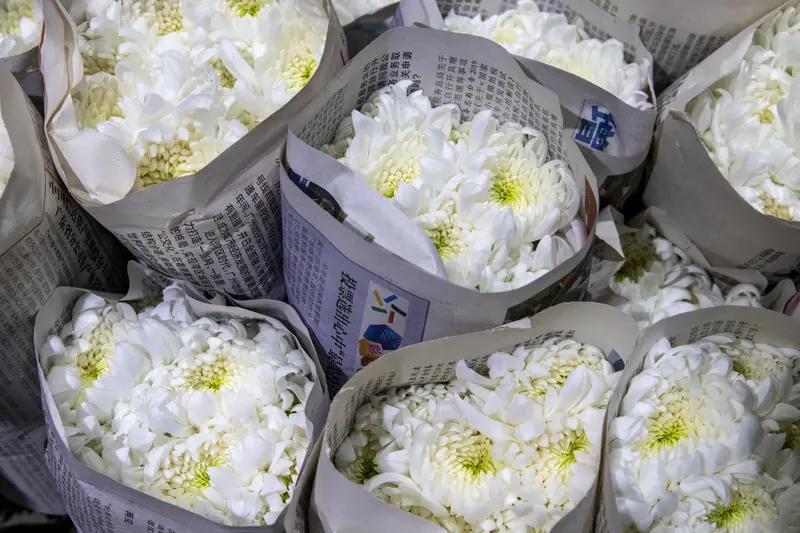 清明祭祖在现代社会早已超越了单纯的迷信或形式，它是快节奏时代里一次群体性的**“