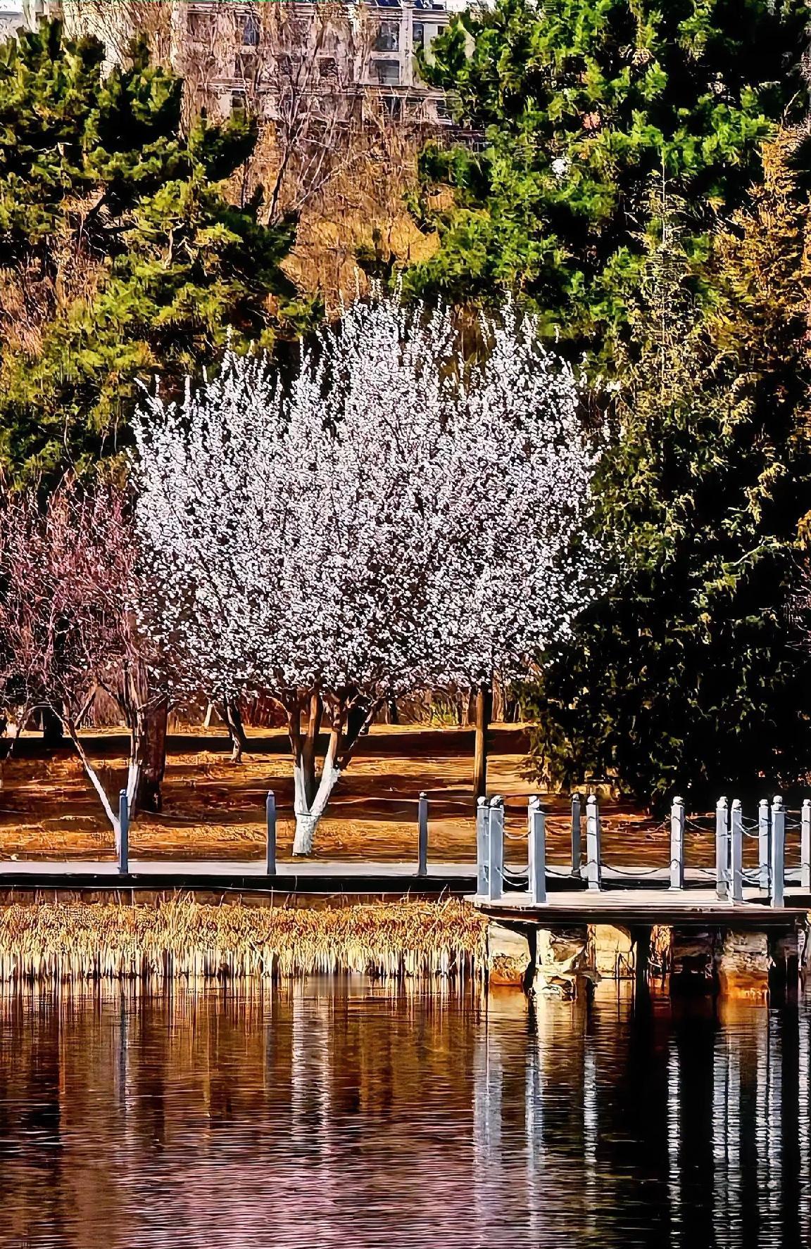 百事从心起，一笑解千愁，心态好，一切都好！[赞]